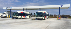 Fig CNG Buses