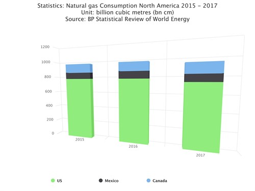 US Consumption