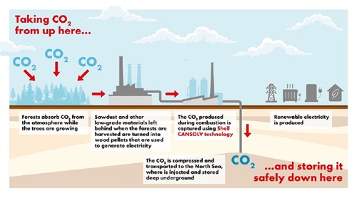 Drax BECCS Project Graphic _RESIZED