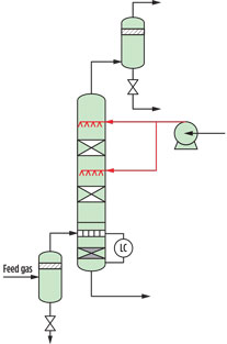 Bowerbank Fig 02